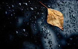 Oktober / ***