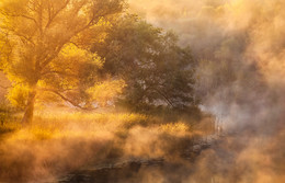 Zwischen Herbst und Sommer / ***