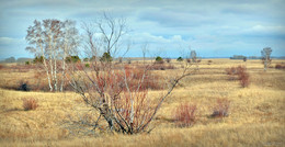 Autumn panorama / ***