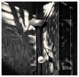 Variation .. / ***