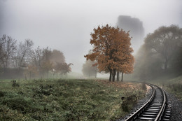 Morgen / ***