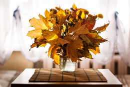 Herbst / ***