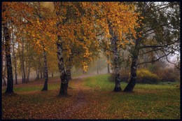 Herbstfarbe. / ***