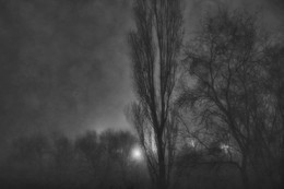 Märchen von der Nebel ... / http://prochtu.ru/text.php?avtor=1885&kniga=10&f=html&p=view