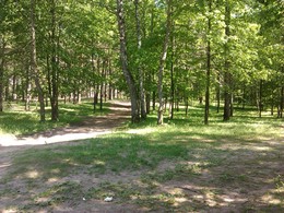 Park / ***