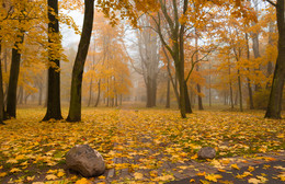 Goldener Herbst / ***