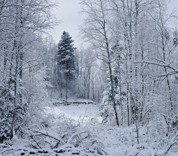 Und bald wieder Winter ... / ***