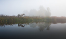 Im Herbst Fluss ... / ***
