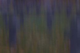 pinhole / ***