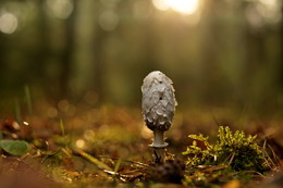 Morgen beginnt ... / ***