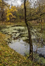 E ist in einem alten Park Teich ... ... / ***