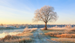 Früh am Morgen in der Dämmerung / ***