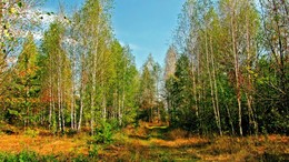 Herbst an der Schwelle / ***