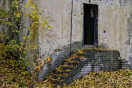 Herbstliche / ***