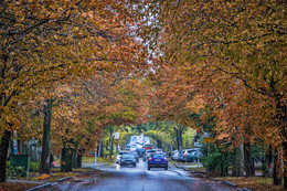 Herbst / ***