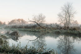 Cold morning by the river / https://vk.com/mikalai_nikitsin