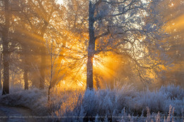 Die ersten Frost / ***