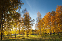 Im Reich der Herbst / ***