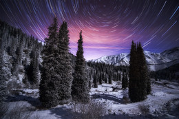 Autumn Night / ***