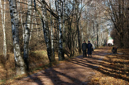 Herbst des Lebens - Herbst, der ... / ***