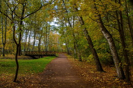 Herbst / ***
