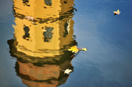 Herbst / ***