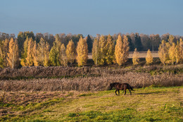 Herbst / ***