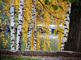 Herbst / ***