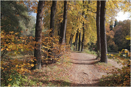 Herbst / ***