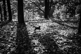 Herbst / ***