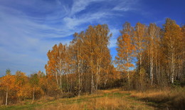 Autumn Wirbelwind / ***