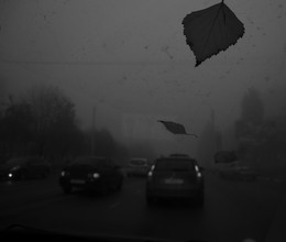 Herbst / ---