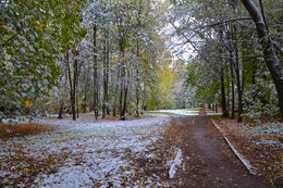 Herbst / ***