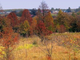 Herbst auf dem Hügel / ***