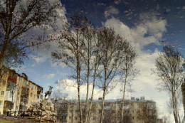 Frühling Reflexion / ---------------