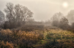 Hochnebel 2. November ... / ...