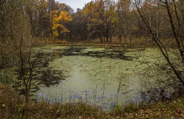 E ist in einem alten Park Teich ... ... / ***