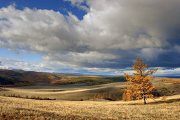 Einsame Wanderung im Herbst .... / ***