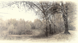Poetische Studien / ***