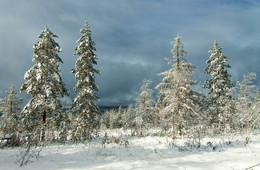 Der Winter kommt ... / ***