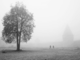 Spaziergang im Nebel / ***