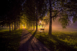 Nacht Allee / ***