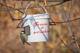 Cafe für Vögel). / ***