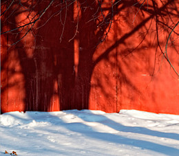 Red Tree / ***