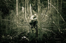 Selbstportrait / ***