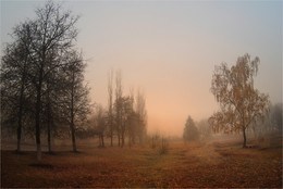 In einer transparenten Gushchin soft mist / ***