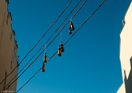 hängen Migrations ... / ***