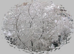 Schnee Veil / ***