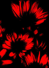 Le Rouge et le Noir / ***