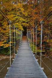 Brücke im Herbst / ***